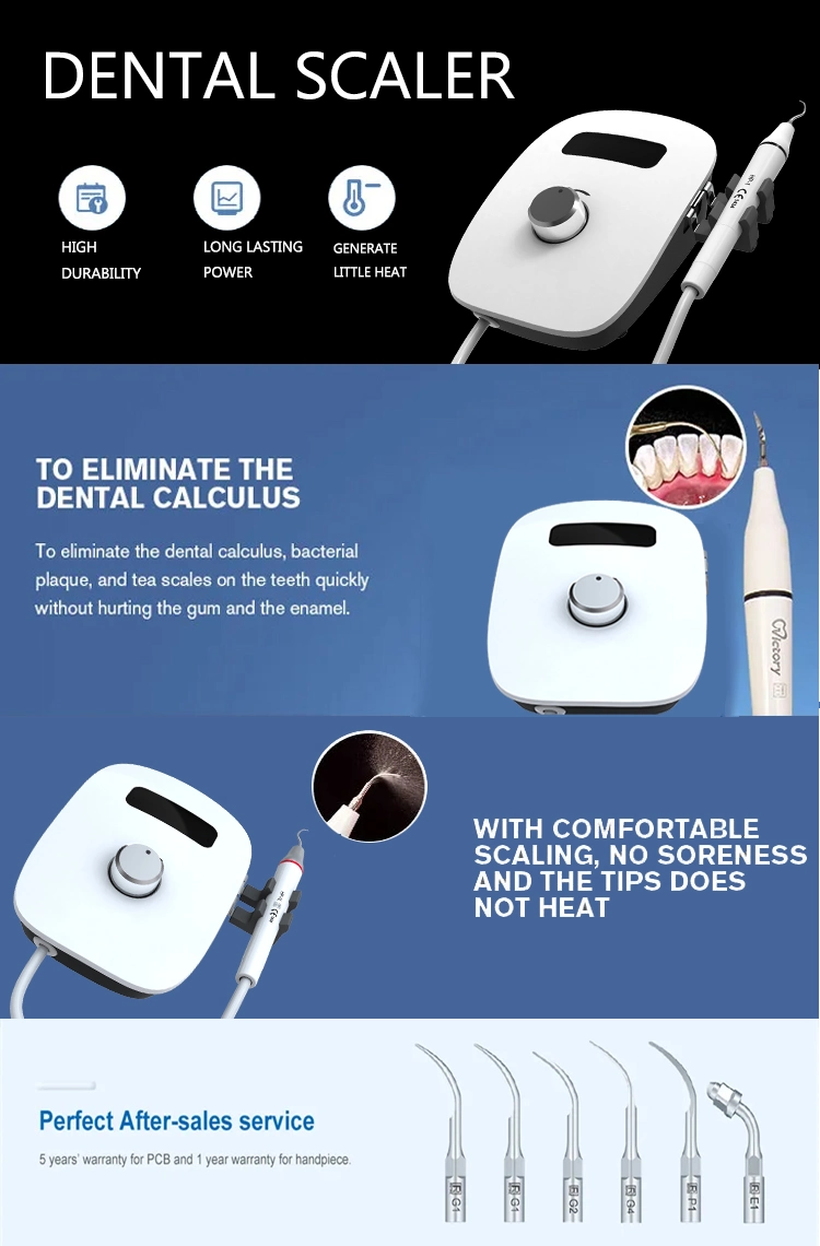 Ultrasonic Dental Scaler LED Electric Dental Scaler